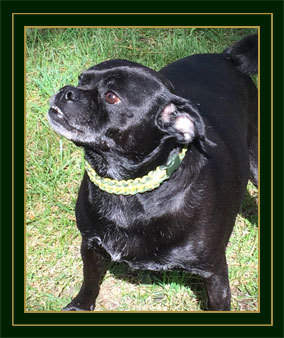 Annabelle is the social coordinator at Galway Farm. Annabelle Social Coordinator