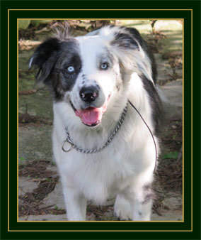 Jimmer is the staff manager at Galway Farm. Jimmer Staff Manager